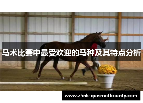 马术比赛中最受欢迎的马种及其特点分析